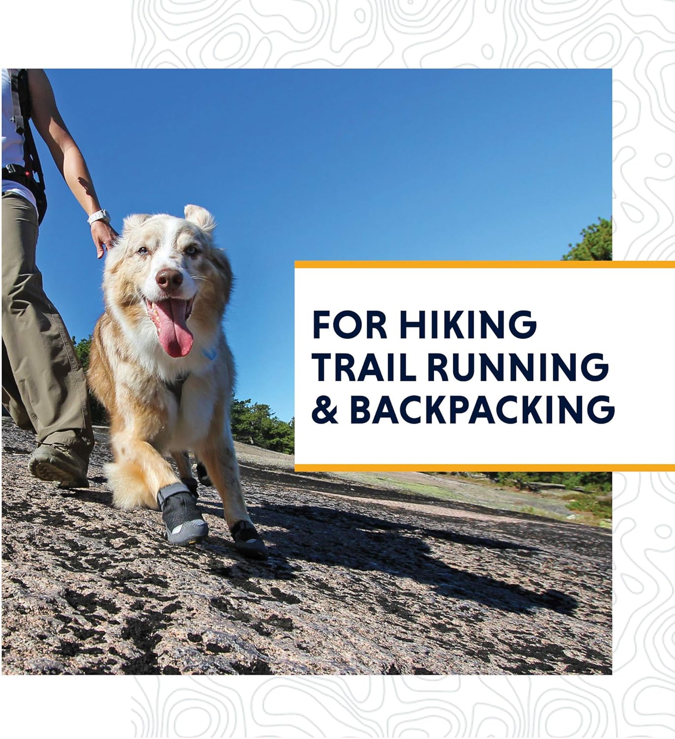 The Best Dog Breeds for Hiking Companions My Terrier Dog